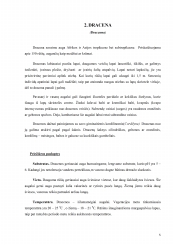 www.speros.lt